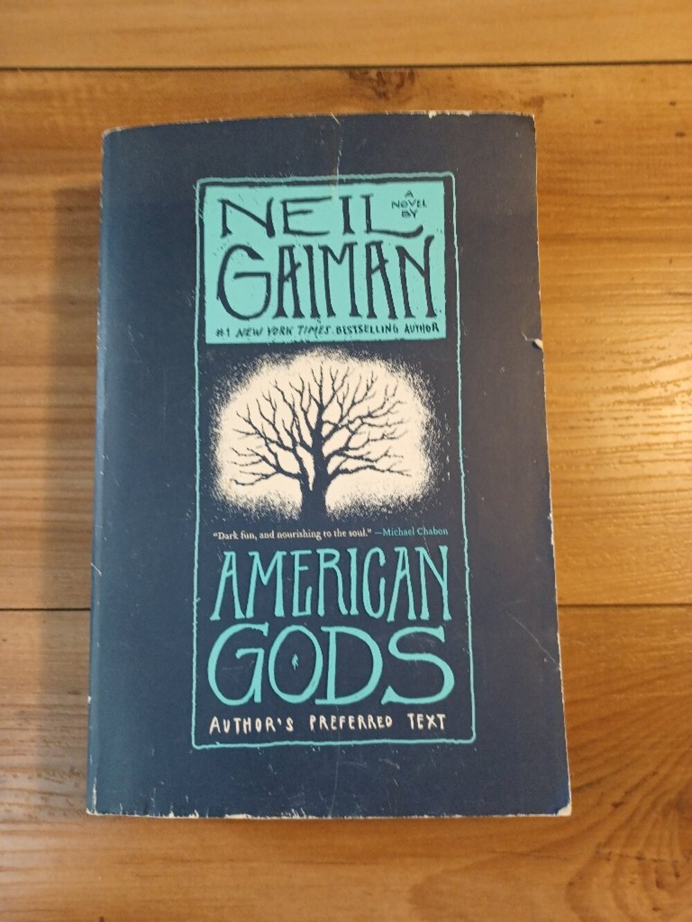 American Gods: Author's preferred Text Book